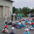 Mvc025s