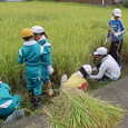 Mvc059s