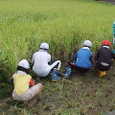 Mvc060s