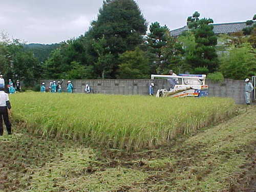 Mvc007s