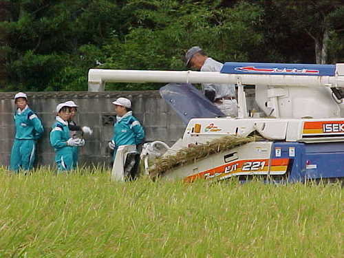 Mvc008s