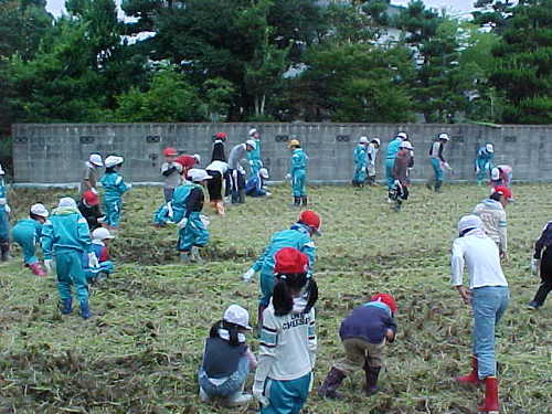 Mvc014s