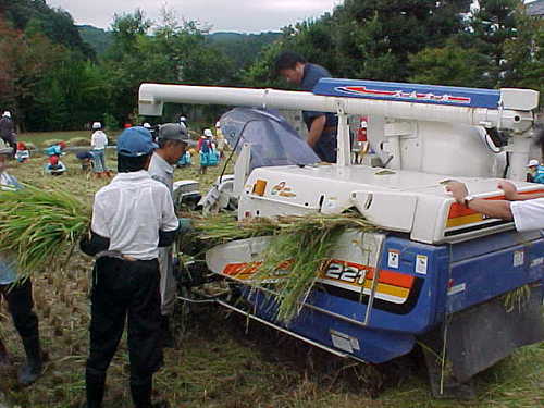 Mvc016s