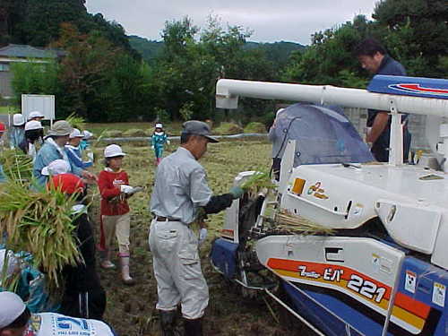 Mvc017s
