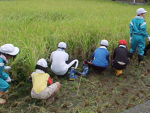 Mvc060s