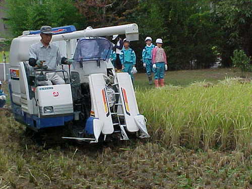Mvc069s