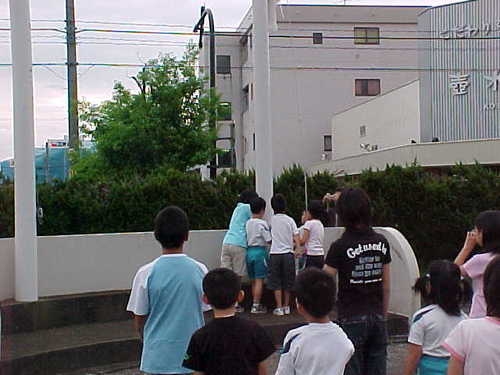 Mvc167s
