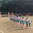 Mvc080s