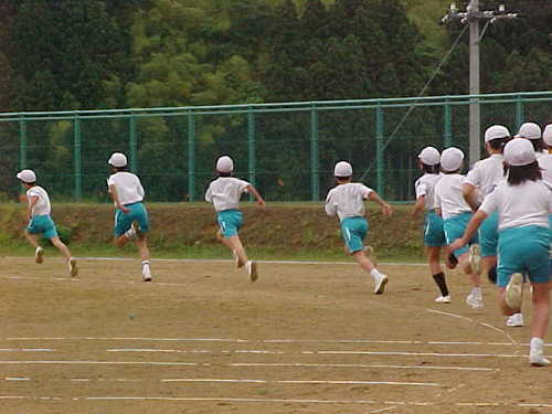 Mvc137s