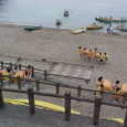 Mvc011s