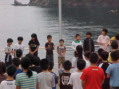 Mvc001s