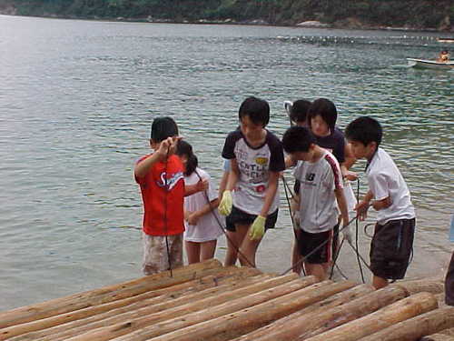 Mvc015s
