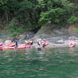 Mvc021s