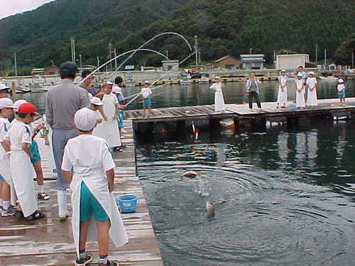 Mvc1009s