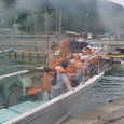 Mvc023s