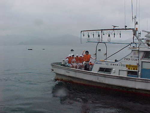 Mvc016s