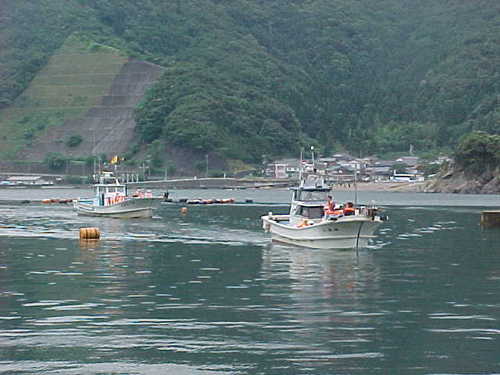Mvc024s