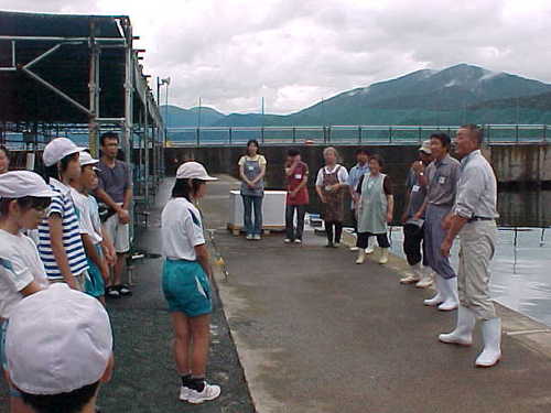 Mvc031s