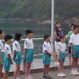 Mvc008s