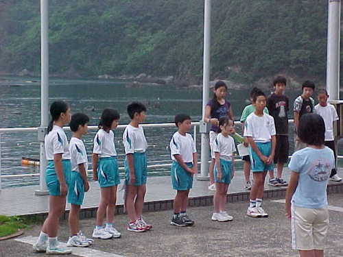 Mvc006s