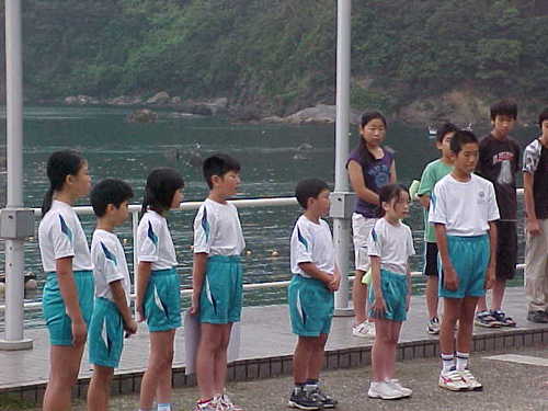 Mvc008s