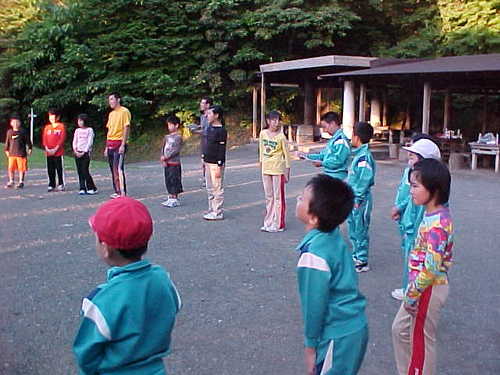 Mvc002s