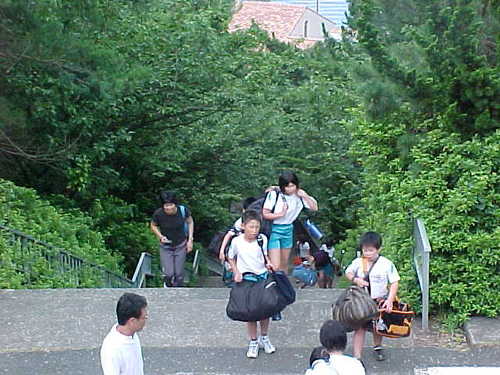 Mvc011s