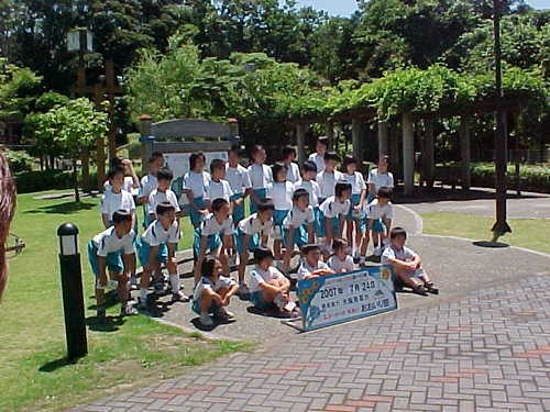 Mvc023s