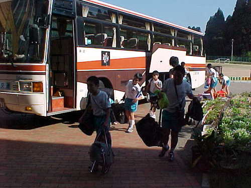 Mvc030s
