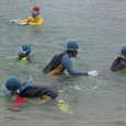 Mvc002s