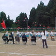 Mvc031s