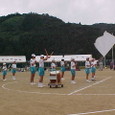 Mvc033s