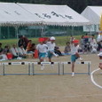 Mvc039s