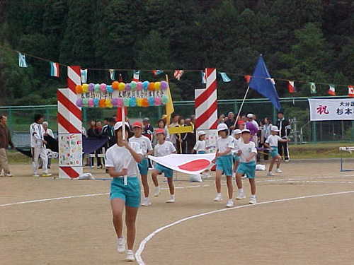 Mvc007s