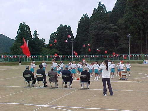 Mvc031s
