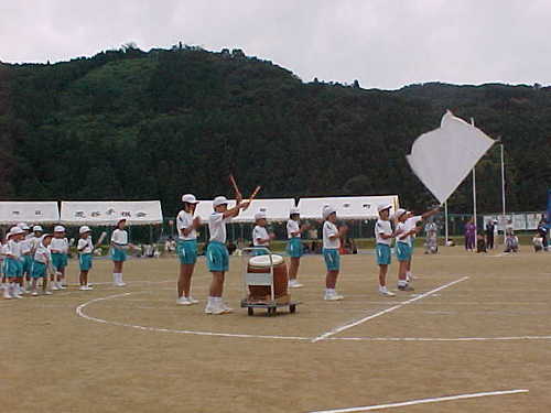 Mvc033s