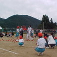 Mvc018s