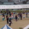 Mvc025s