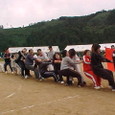 Mvc029s