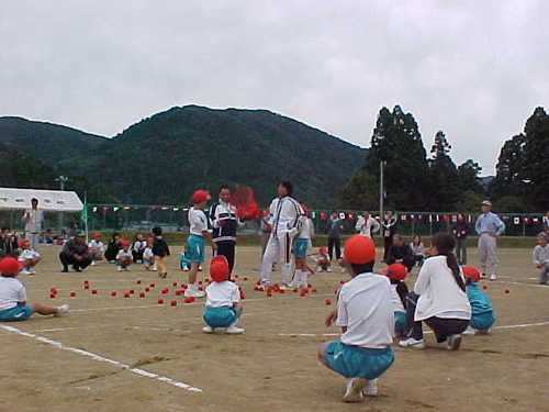 Mvc018s