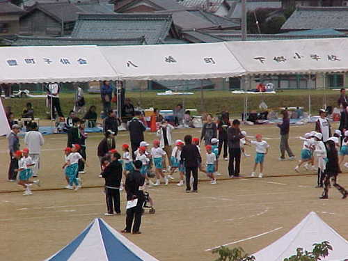 Mvc025s