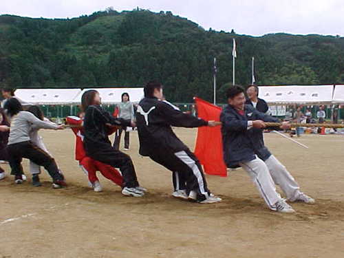 Mvc028s
