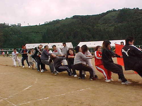 Mvc029s