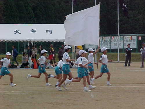 Mvc030s