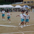 Mvc004s