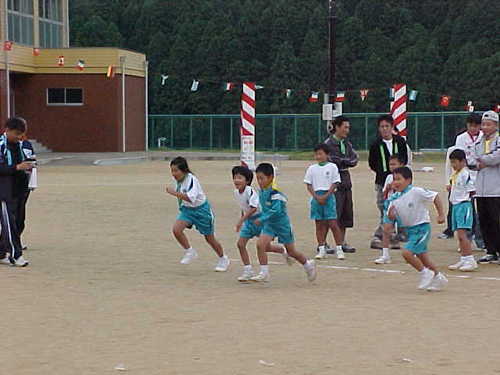 Mvc002s