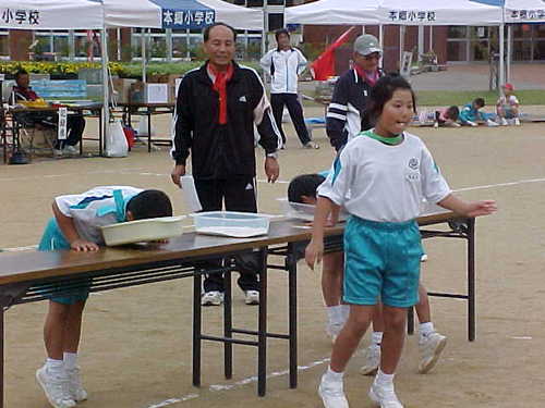 Mvc003s
