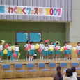 Mvc177s