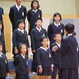 Mvc037s