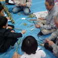 Mvc021s